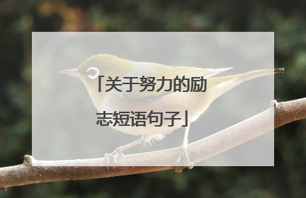 关于努力的励志短语句子
