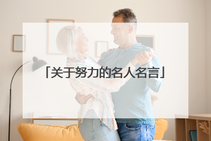 关于努力的名人名言