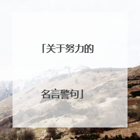 关于努力的名言警句