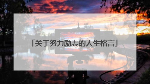 关于努力励志的人生格言