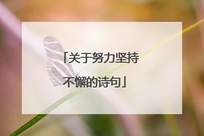 关于努力坚持不懈的诗句