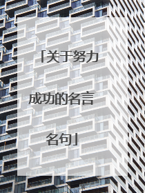 关于努力成功的名言名句