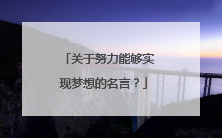 关于努力能够实现梦想的名言?