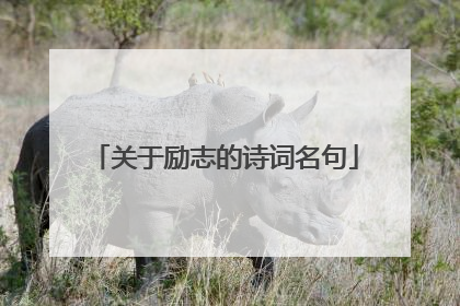 关于励志的诗词名句