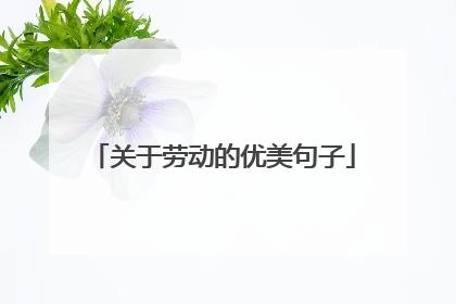 关于劳动的优美句子