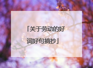 关于劳动的好词好句摘抄