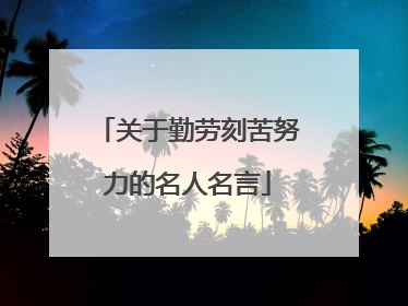 关于勤劳刻苦努力的名人名言