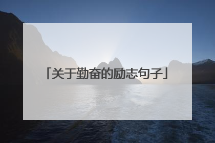 关于勤奋的励志句子