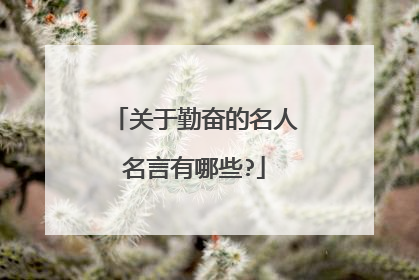 关于勤奋的名人名言有哪些?