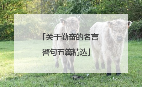 关于勤奋的名言警句五篇精选