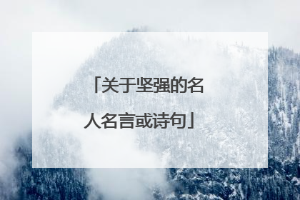 关于坚强的名人名言或诗句