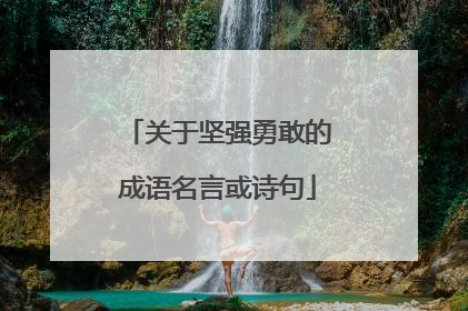 关于坚强勇敢的成语名言或诗句