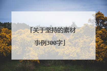 关于坚持的素材事例300字