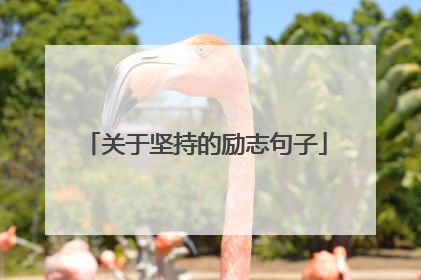 关于坚持的励志句子