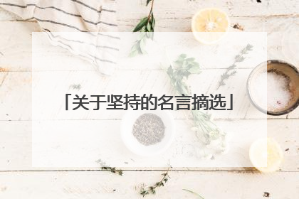关于坚持的名言摘选