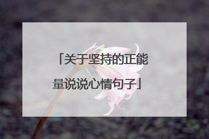 关于坚持的正能量说说心情句子