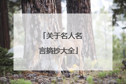 关于名人名言摘抄大全