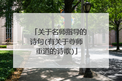 关于名师指导的诗句(有关于尊师重道的诗歌)