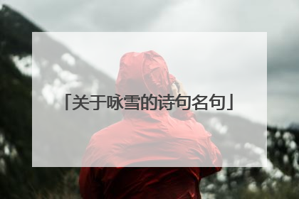 关于咏雪的诗句名句