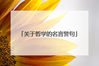 关于哲学的名言警句