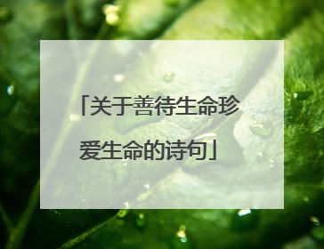 关于善待生命珍爱生命的诗句