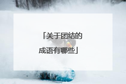 关于团结的成语有哪些