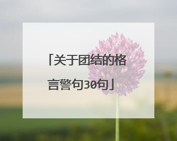关于团结的格言警句30句