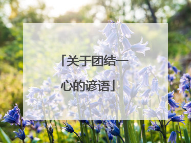 关于团结一心的谚语