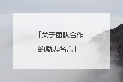关于团队合作的励志名言