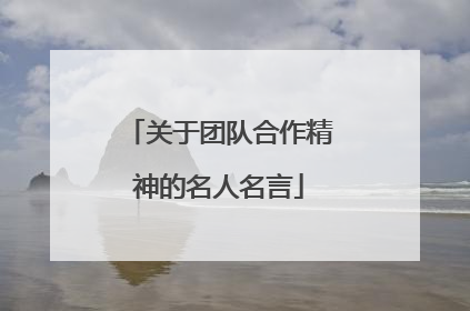 关于团队合作精神的名人名言