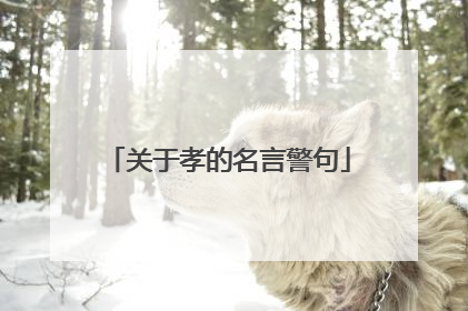 关于孝的名言警句