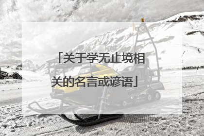 关于学无止境相关的名言或谚语