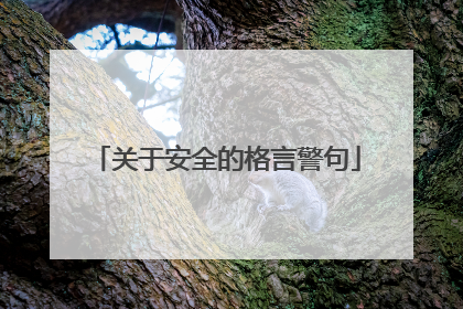 关于安全的格言警句