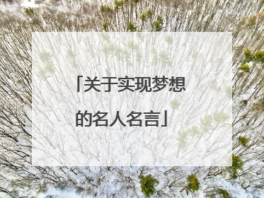 关于实现梦想的名人名言
