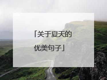 关于夏天的优美句子