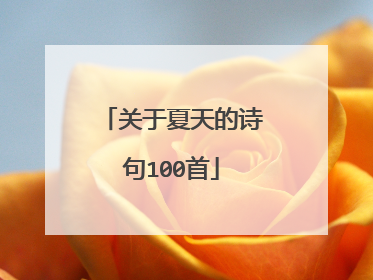 关于夏天的诗句100首