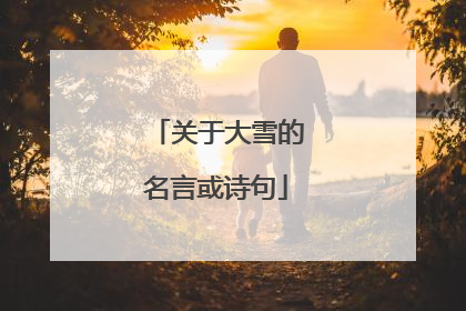 关于大雪的名言或诗句