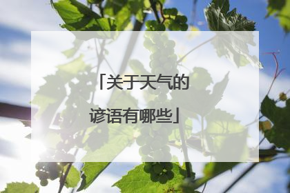 关于天气的谚语有哪些