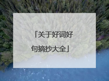 关于好词好句摘抄大全