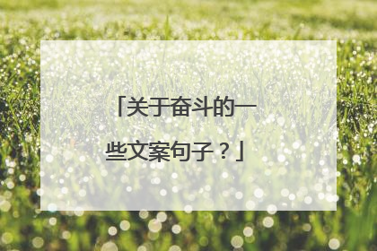 关于奋斗的一些文案句子?