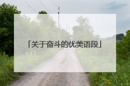 关于奋斗的优美语段