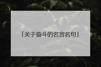 关于奋斗的名言名句