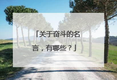 关于奋斗的名言,有哪些?