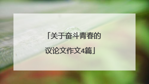 关于奋斗青春的议论文作文4篇