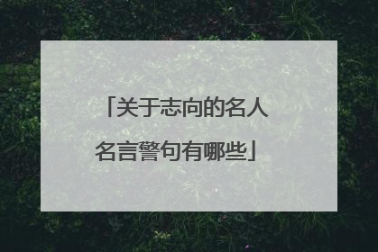 关于志向的名人名言警句有哪些