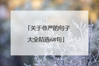 关于尊严的句子大全精选68句