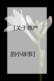 关于尊严的小故事