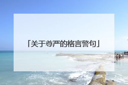 关于尊严的格言警句