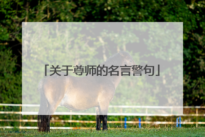 关于尊师的名言警句