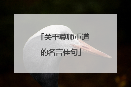 关于尊师重道的名言佳句